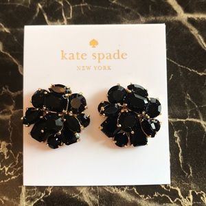 HP 2/28 & 3/2 Kate Spade Shine On Earrings